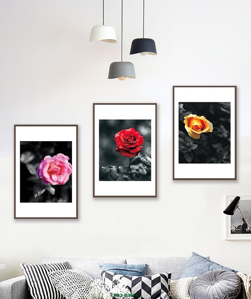 Hoa hồng nhiều màu CHB3-036KG